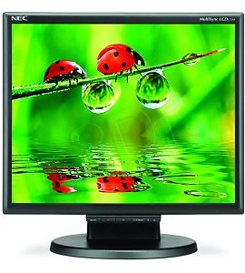 Monitor LCD Nec 175M BK 