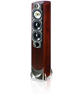 Kolumny i g�o�niki Paradigm REFERENCE STUDIO 60 v.5  NEGOCJACJA