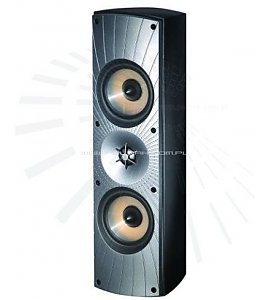 Kolumna podstawkowa Paradigm CINEMA 110LR v.3 czarny